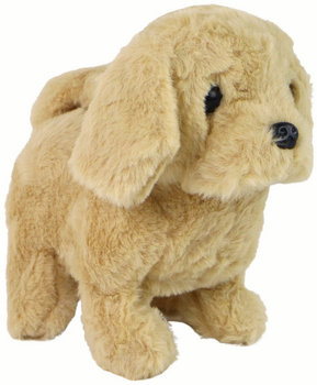 Собака LEAN Toys рухається та гавкає Бежевий 14988 (5905515354677)