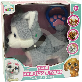 Piesek LEAN Toys Husky chodzi oraz gra muzyczkę na smyczu 9964 (5904204758222)