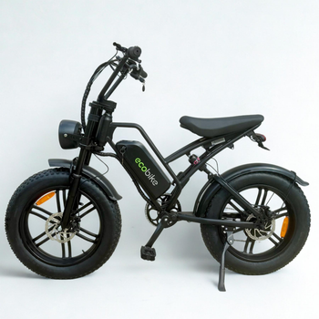 Електровелосипед ECOBIKE e-Motion V9 PRO 60V 21Ah 1000W Black| з системою PAS і колесами 20x4.0"