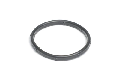 Кільце ущільнююче термостата Hyundai/Kia 1.4/1.6 16v f4fg/f4fc/g4fa/g4fc/g4fd/g4fg/g4fj elri ELRING 326.310