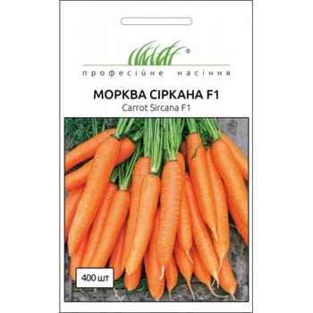 Морковь Сиркана F1 среднепоздняя, 400 шт Nunhems Zaden