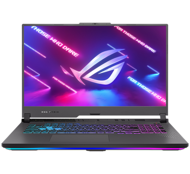 Ноутбук Asus ROG Strix G17 G713PI (G713PI-G17.R94070)