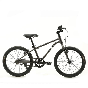 Велосипед дитячий двоколісний Profi MB 20LIGHTY DARK GREY (колеса: Ø20"/резина, рама: алюміній, гальма: ободні)
