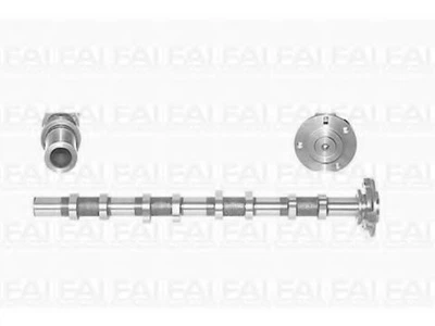 FAI FORD вал розподільчий TRANSIT 2.4 DI 00-06, TRANSIT 2.4 TDE 01-06 FAI Auto Parts (C251)