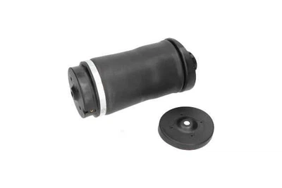 KAVO PARTS DB Пневморесора R-CLASS (W251, V251) R 280 (251.054, 251.154) 07-14 Kavo Parts (SAS10018)