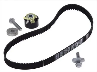Комплект ремня ГРМ SKF (VKMA06134)