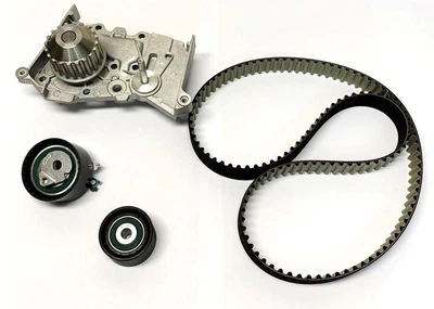 Комплект ГРМ (помпа Dolz) Renault Kangoo (01-), Logan (I,II), Megane (II,III), Scenic (II,III) 1.6i (KTC8171054WP) Coram CORAM (KTC8171054WP)