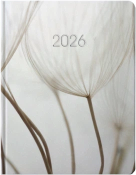Ежедневник датированный Economix 2026 А5 (E21871)