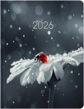 Ежедневник датированный Economix 2026 А5 (E21899)