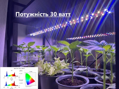 Светодиодная фитолампа на светодиодах Samsung lm281b+ мощностью 30W для рассады