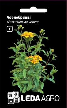 Бархатцы Мексиканская мята Hem Zaden/Нидерланды 0,15 г