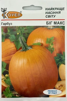Семена Тыква Биг Макс 10 г Коуэл