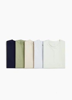 Футболка (набір з 5 шт) H&M 10036 Різнобарвний S