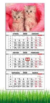 Календар настінний квартальний на 2026 рік на три пружини , Apriori , Котики, Кохання , Кіт , 29,7х61см , 2 вид