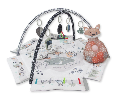Mata edukacyjna dla niemowląt Milly Mally Minky 5 w 1 (5901761127393)
