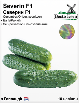 Огірок Северин F1 (Bestе Kern) 10 шт.
