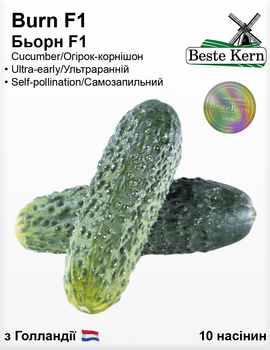 Огірок Бьорн F1 (Bestе Kern) 10 шт.