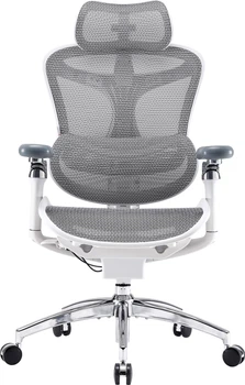 Крісло офісне SIHOO DORO C300 Pro Mesh White (DORO-C300-PRO-M102)