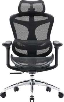Крісло офісне SIHOO DORO C300L Mesh Black (DORO-C300L-A3-101)