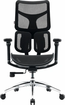 Крісло офісне SIHOO DORO S100 Mesh Black (S100-M301)