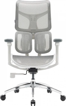 Крісло офісне SIHOO DORO S100 Mesh White (S100-M302)