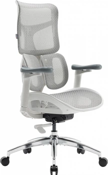 Офисное кресло эргономическое SIHOO DORO S100 Mesh White (S100-M302)