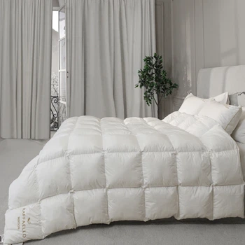 Одеяло пуховое MirSon Raffaello White №063 кассетное 90% пух Standart / 10% перо 200x220 см Зима+ (2200000075154)