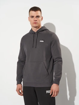 Худі утеплене чоловіче Puma Essentials Graphics 68471844 M Dusky Gray (4069157446532)