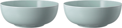 Набір мисок Seltmann Weiden Beat Color Glaze блакитний 20 см 2 шт (ZES4052212109381)