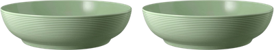 Набір мисок Seltmann Weiden Beat Color Glaze зелений 25 см 2 шт (ZES4052212109459)