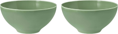 Набір мисок Seltmann Weiden Beat Color Glaze круглих зелений 15.5 см 2 шт (ZES4052212090405)