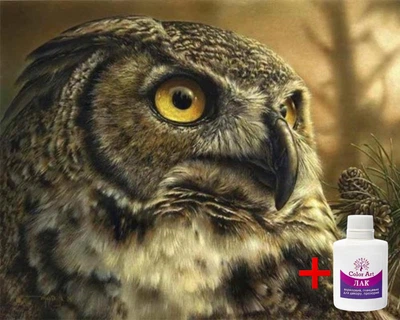 Алмазна мозаїка на підрамнику ColorArt 40x50 Сова SPP110 + Подарунок лак для покриття