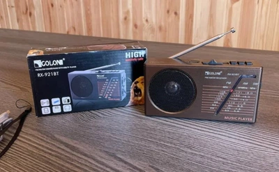 Портативный радиоприёмник с Bluetooth и MP3-плеером для дома, дачи или путешествий GOLON RX-921BT