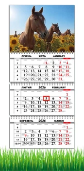Календарь настенный квартальный на 2026 год на три пружины, Apriori, год Лошади, Лошадь, символ года Лошадь, Horses , 29,7х61см , 217 вид