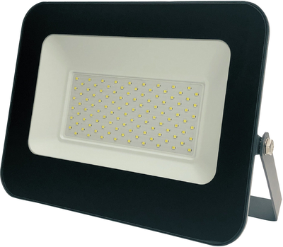 Reflektor Standart FLOODL LED E024EI 100 W