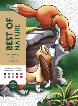 Розмальовка Disney Hachette по номерам Best of Nature – игрушки с