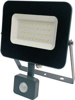 Reflektor Standart FLOODL LED E024EIS 30 W