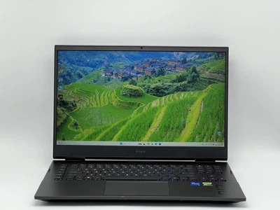 Ноутбук HP 17.3" Omen 17-cm2075nr, i7-13700HX, 16 GB, 960 GB, NVIDIA GeForce RTX 4060, 1920x1080, IPS (SH2505379) Б/у