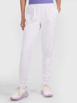 Спортивні штани жіночі 4F 4FWMM00TTROF1137-27M 2XL Сірі (5905700347439)