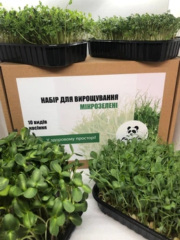 Набір для вирощування мікрозелені Panda microgreen на 14 врожаїв (ТОП 10 видів культур)