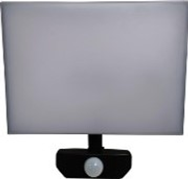 Reflektor Standart FLOODLIHGT LED 50 W (PE09-50WS)