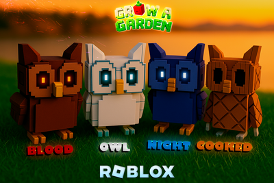 Набор из 4-х сов (Blood Owl, Night Owl, Owl, Cooked Owl) Pets - Roblox (Grow A Garden)