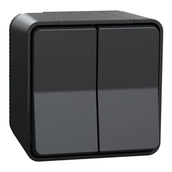 Двухклавишный переключатель Schneider Electric Mureva Styl IP55 чёрный MUR35022