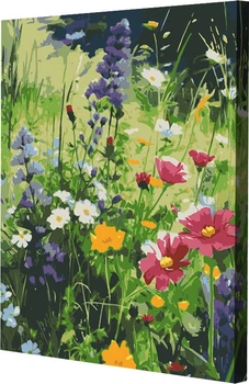 Картина за номерами Riviera Blanca Сонячне поле 40x50 см (RB-0936)