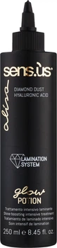 Інтенсивний засіб для ламінування тьмяного волосся - Sensus Alisa Glow Potion Intensive Laminating Treatment 250ml (1346992-20906416)