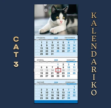 Календар квартальний на 2026 рік Котики-03