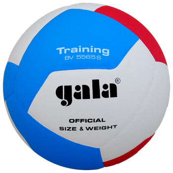 Мяч волейбольный Gala Training BV5565S