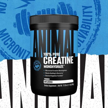 Креатин моногидрат Universal Nutrition Animal Creatine Powder порошок 500 г (039442039644)