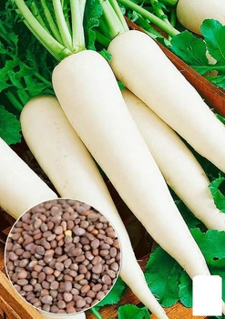На развес Дайкон "Структуратор" Agro-Market цена за 10г (177357)