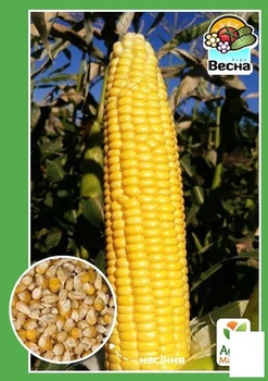 Кукурудза "Цукрова" Agro-Market 10г (10764)